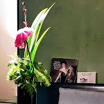 Photo n°2 de l'avis de Anna.r fait le 21/02/2020 à 20:56 sur le  Le Cattive à Palermo