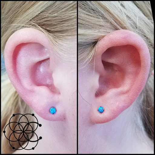 Tattoo Shop «Z Edge Tattoo & Body Piercing South Shop», reviews and photos, 3603 Clark Rd, Sarasota, FL 34233, USA