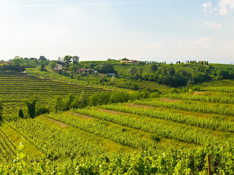 Azienda Agricola Casasola di Zen Andrea