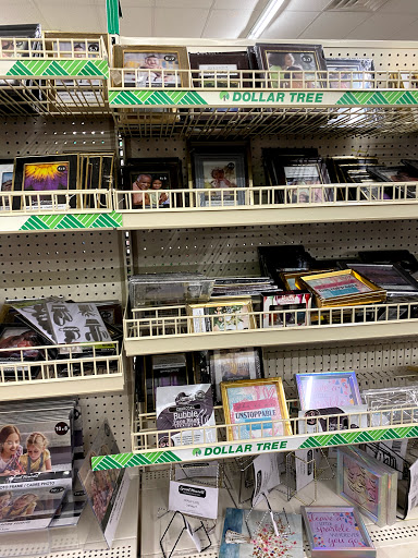 Dollar Store «Dollar Tree», reviews and photos, 500 NJ-38, Cherry Hill, NJ 08002, USA