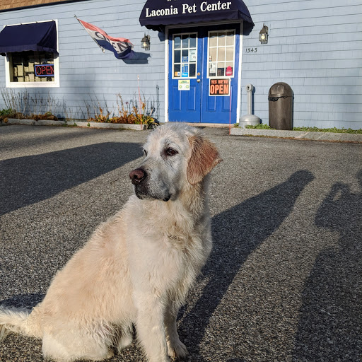 Pet Store «Laconia Pet Center», reviews and photos, 1343 Union Ave, Laconia, NH 03246, USA