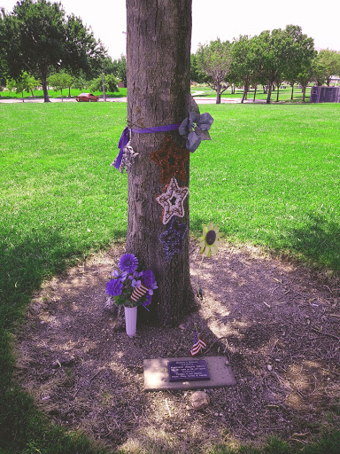 Park «Mountain Crest Park», reviews and photos, 4701 N Durango Dr, Las Vegas, NV 89129, USA