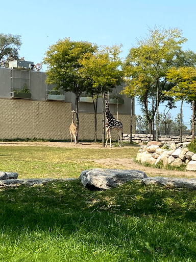 Zoo «Arctic Ring of Life», reviews and photos, 8450 W 10 Mile Rd, Royal Oak, MI 48067, USA