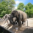 Verein der Freunde des Tierparks Hagenbeck e.V.