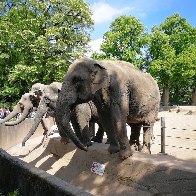 Verein der Freunde des Tierparks Hagenbeck e.V.