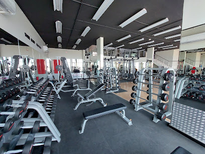Fitness factory Gym - 7J96+G47, Avenue 6, Busaiteen, Bahrain