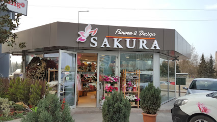 Sakura çiçek