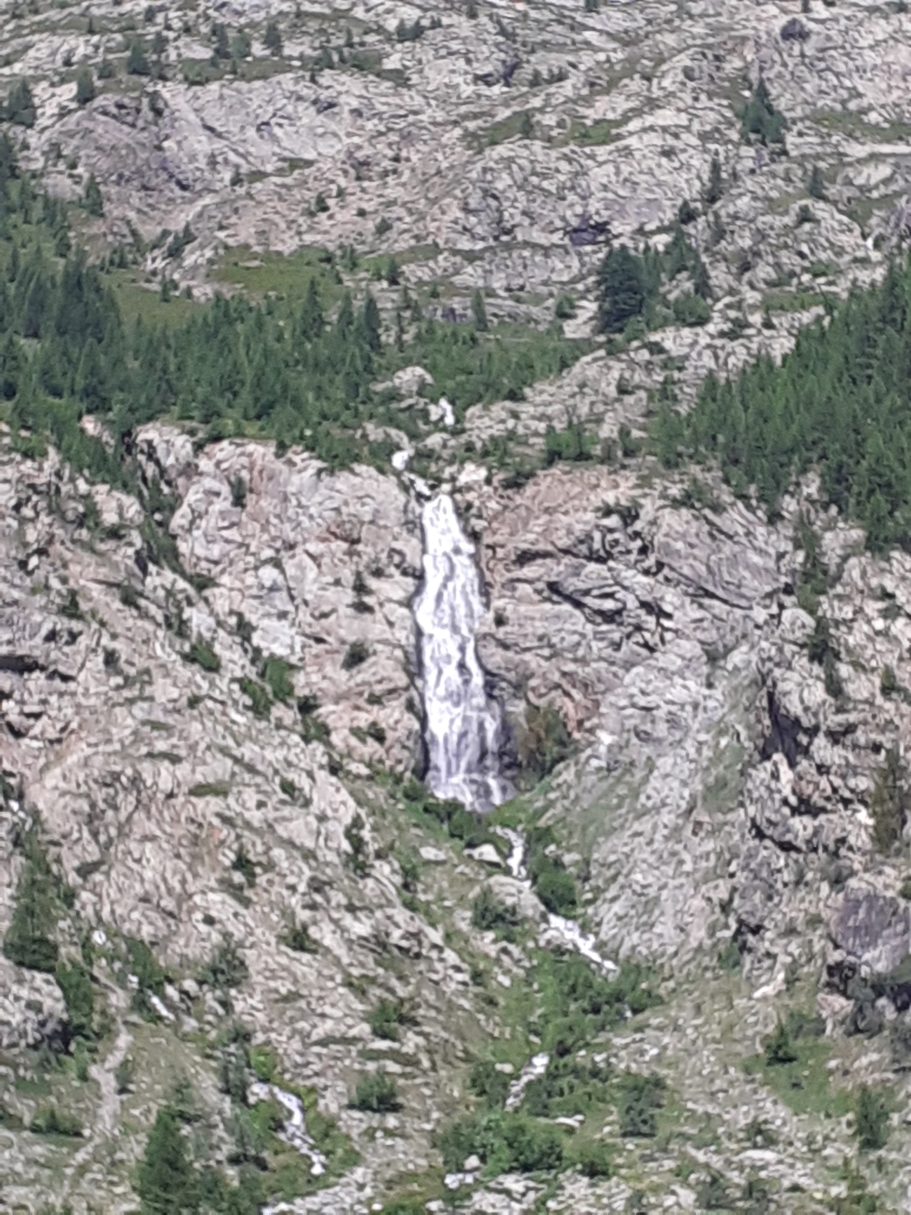 Photo n° 4 de l'avis de Mostefa.e fait le 29/06/2021 à 18:23