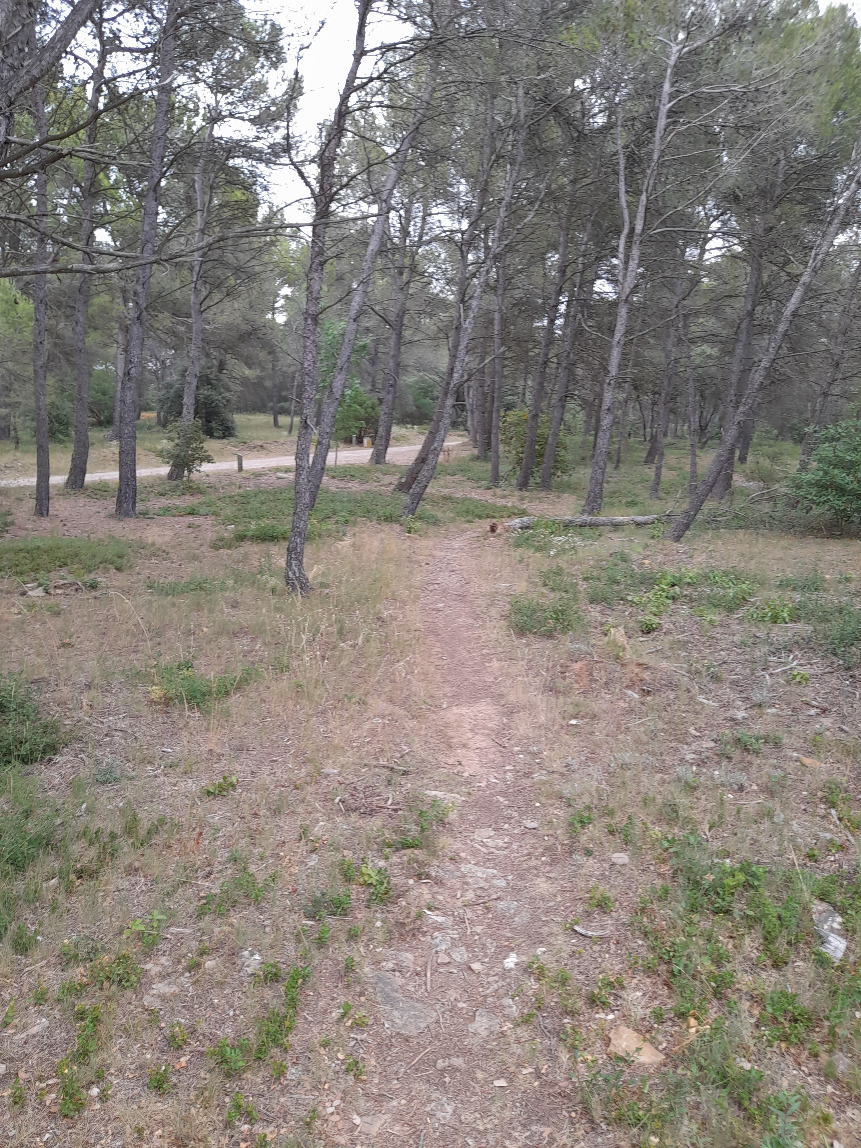 Photo n° 4 de l'avis de Bilbon.A fait le 20/06/2022 à 20:00
