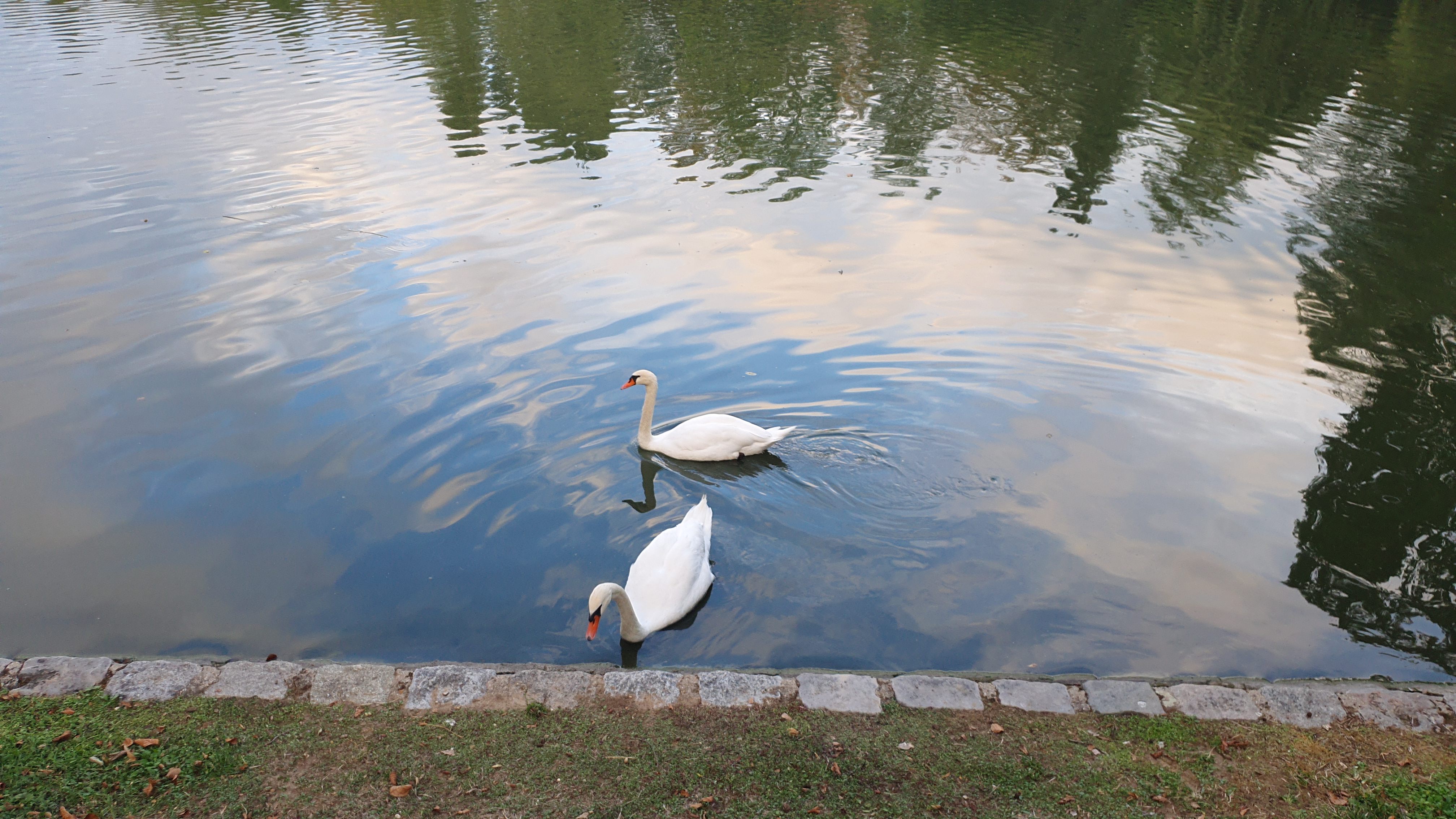 Photo n° 1 de l'avis de Sisi.e fait le 12/09/2020 à 23:27