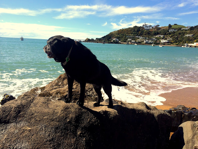 Comments and reviews of Noah's Boutique Accommodation Moeraki