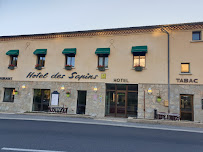 Photos des visiteurs du Restaurant Logis Hôtel des Sapins à Lanarce - n°6