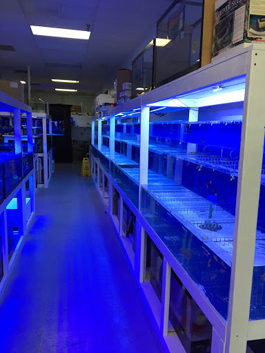 Aquarium «Oceans Direct», reviews and photos, 215 W State Rd 434, Longwood, FL 32750, USA