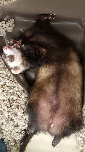 Pet Supply Store «Petco Animal Supplies», reviews and photos, 280 Kensington Blvd, Slidell, LA 70458, USA