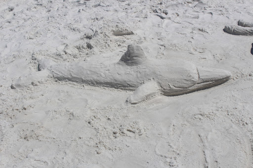 Tourist Attraction «Beach Sand Sculptures», reviews and photos, 15000 Emerald Coast Pkwy, Destin, FL 32541, USA