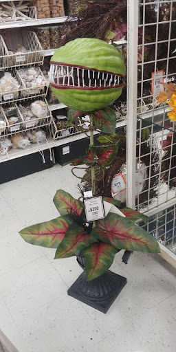 Craft Store «Michaels», reviews and photos, 4999 Houston Rd #200, Florence, KY 41042, USA