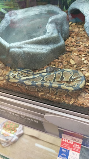 Pet Store «PetSmart», reviews and photos, 17150 Ventura Blvd, Encino, CA 91316, USA