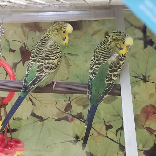 Pet Supply Store «PetSmart», reviews and photos, 625 Baltimore Blvd, Westminster, MD 21157, USA