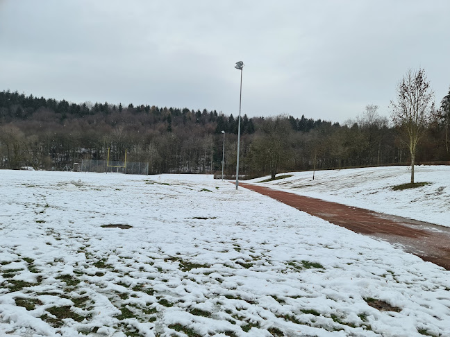 Rezensionen über Sportplatz Mettmoos in Neuenburg - Sportstätte