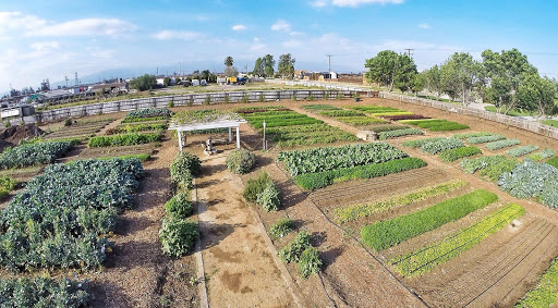 Childrens farm San Bernardino