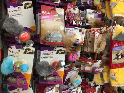 Discount Store «Ocean State Job Lot», reviews and photos, 13 Wells Rd, Wethersfield, CT 06109, USA