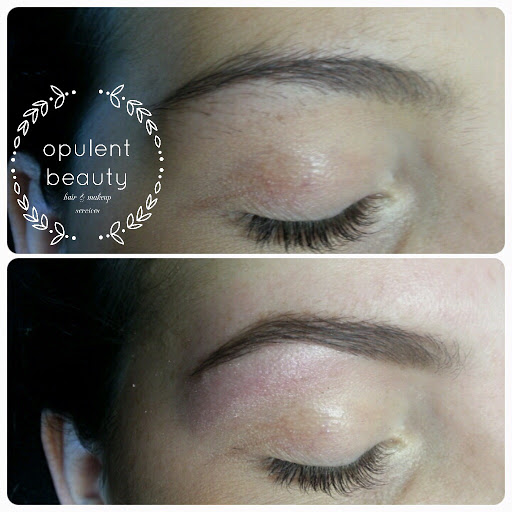 Beauty Salon «Opulent Beauty», reviews and photos, 11743 SW Hwy, Palos Heights, IL 60463, USA