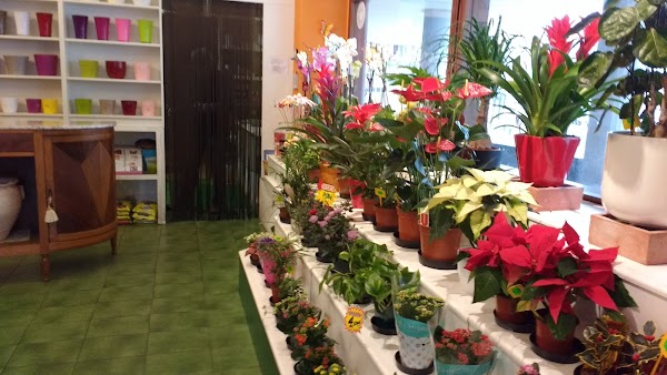 Imagen de El Jardín (1 de 4)