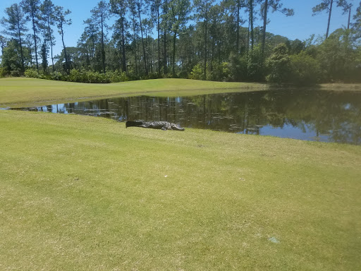 Golf Club «NAS Jacksonville Golf Club», reviews and photos, 3978 Mustin Rd, Jacksonville, FL 32212, USA