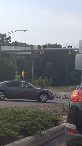 Park «Poplar Tree Park», reviews and photos, 4718 Stringfellow Rd, Fairfax, VA 22030, USA