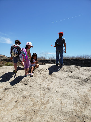 Nature Preserve «Peter and Mary Muth Interpretive Center», reviews and photos, 2301 University Dr, Newport Beach, CA 92660, USA