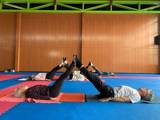 QUIROTRAINER BOADILLA en Boadilla del Monte, Madrid