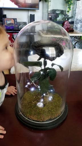 Florist «The Chocolate Rose», reviews and photos, 1609 S Richey St, Pasadena, TX 77502, USA