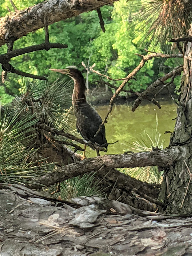 Park «Smith Park», reviews and photos, 8155 Park Ave S, Bloomington, MN 55420, USA