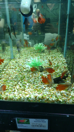 Pet Store «M V Pets», reviews and photos, 7429 S Westnedge Ave, Portage, MI 49002, USA