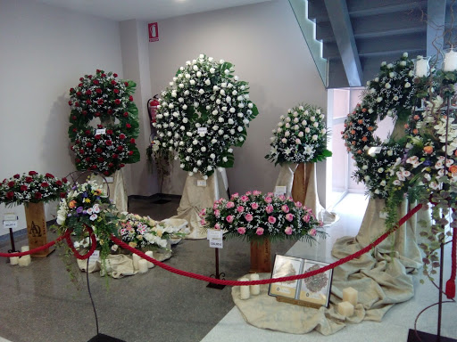 Tanatorio Murcia Centro en Murcia