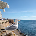 Photo n°5 de l'avis de Giuseppe. fait le 31/03/2024 à 08:19 sur le  Il Faro Restaurant - Sunset Bar à Gallipoli