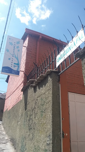 Fundación La Paz