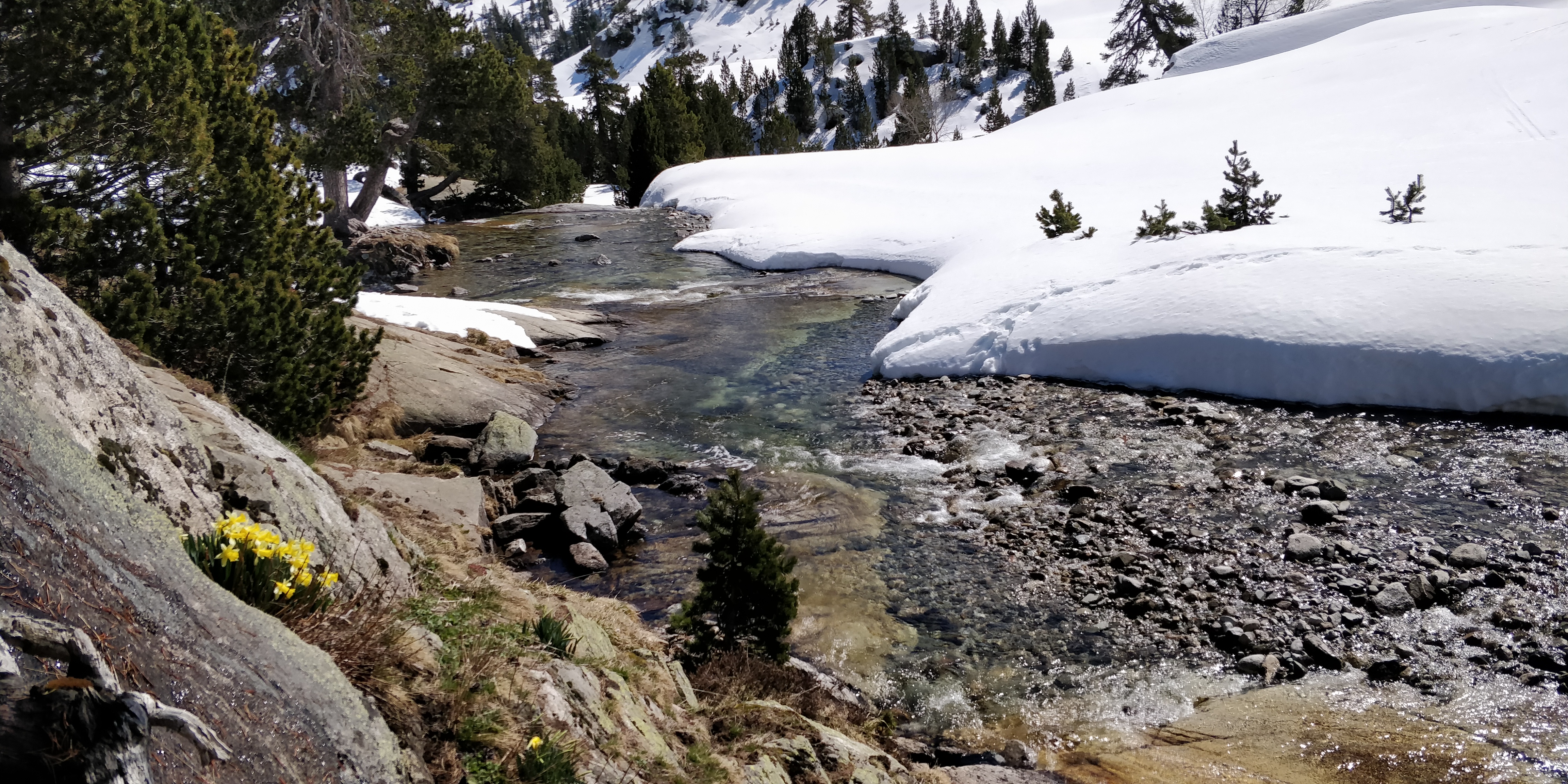 Photo n° 5 de l'avis de Daniel.a fait le 28/03/2019 à 20:38