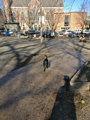 Dog Park «Wiggly Field Dog Friendly Area», reviews and photos, 2645 N Sheffield Ave, Chicago, IL 60614, USA