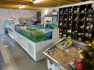 Photo n°5 de Aubier Marée à La Tremblade ()