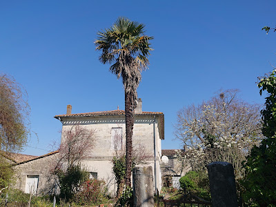 Alain Marche à Fronsac
