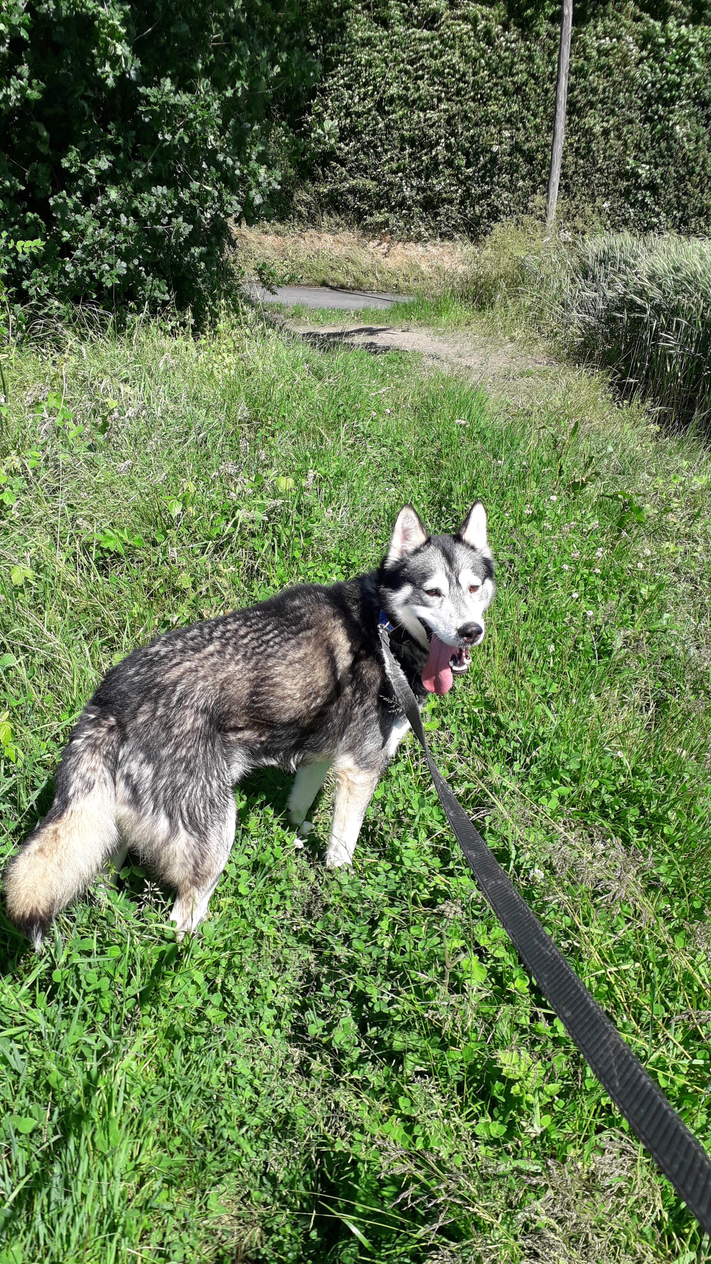 Photo n° 1 de l'avis de Josiane.a fait le 17/06/2019 à 21:29