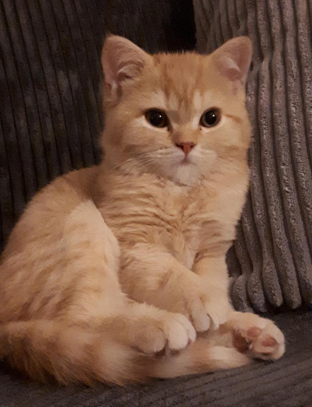 Photo n° 3 de l'avis de Magnus.v fait le 24/01/2024 à 20:47