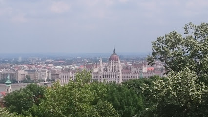 Budavári Zsinagóga - Középkori Zsidó Imaház