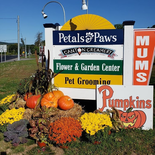 Florist «Petals & Paws», reviews and photos, 465 Albany Turnpike, Canton, CT 06019, USA