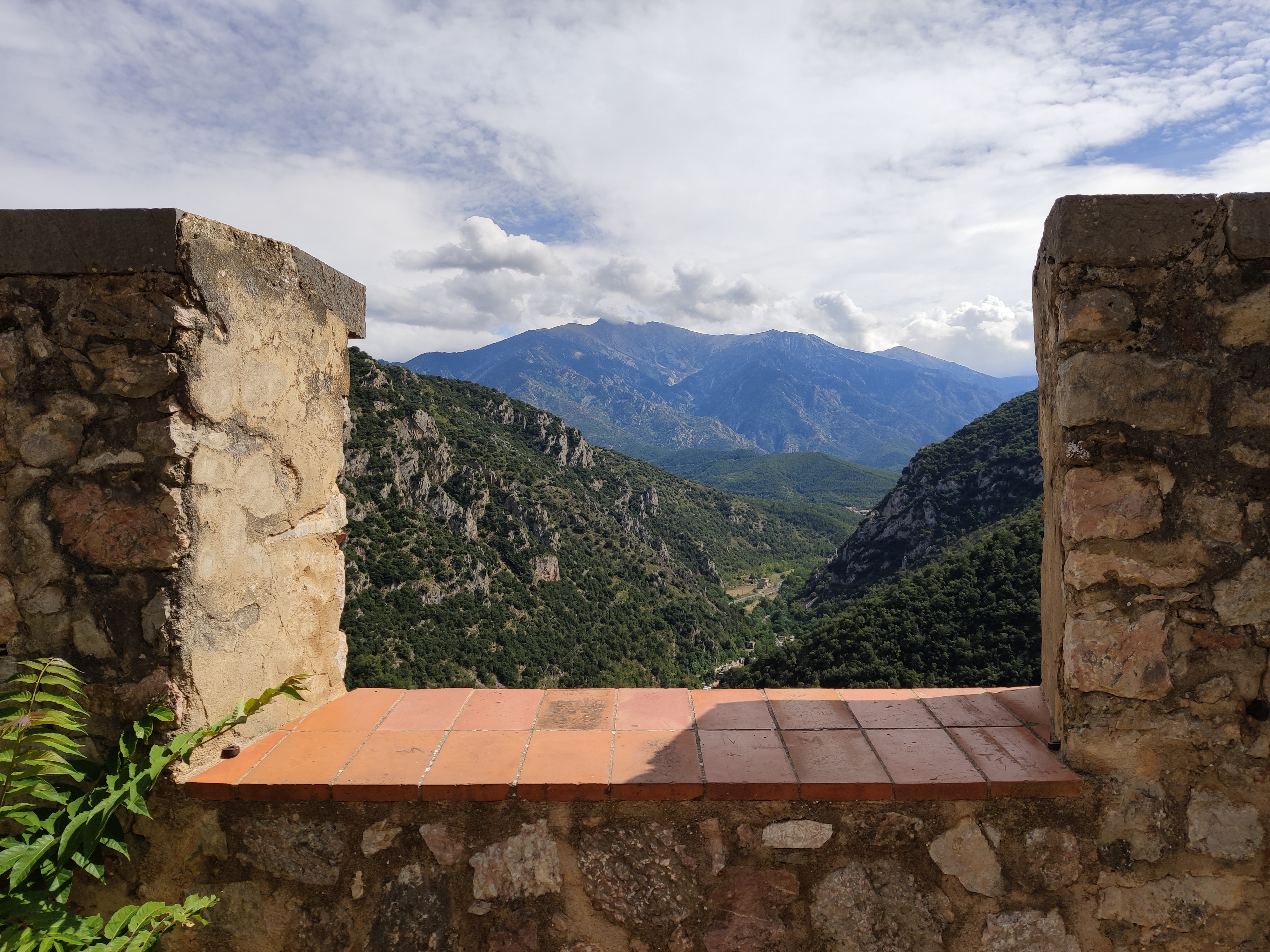 Photo n° 18 de l'avis de Mi.i fait le 01/09/2020 à 18:11