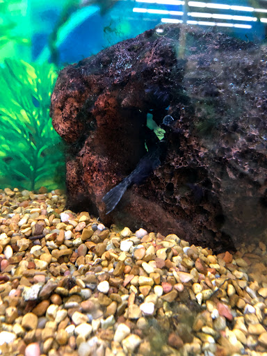 Pet Supply Store «Petco Animal Supplies», reviews and photos, 2901 32nd Ave S, Grand Forks, ND 58201, USA