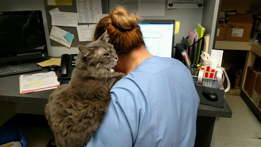 VCA Woodstock Animal Hospital image