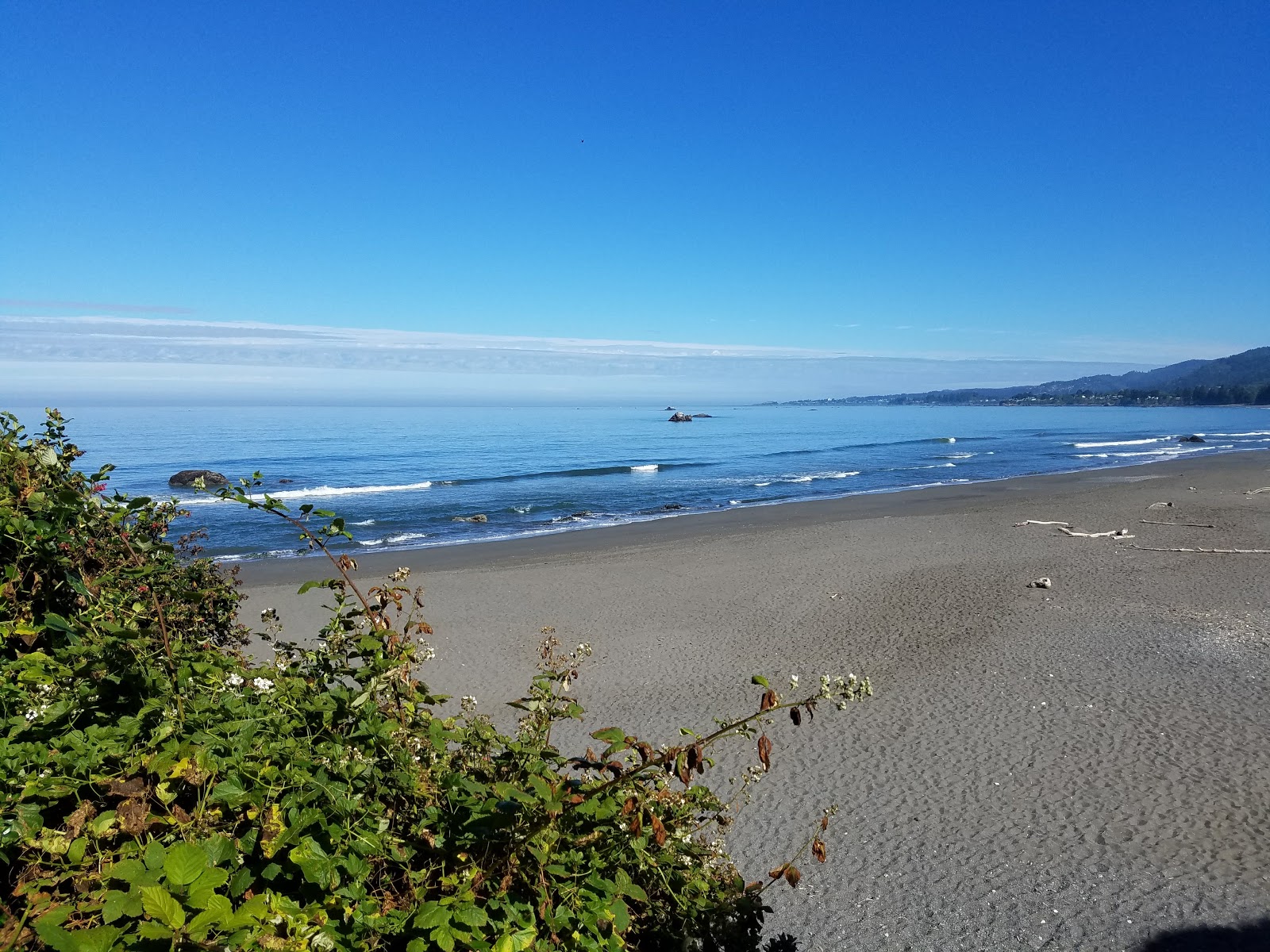 Foto von Pelican Beach mit grauer sand Oberfläche