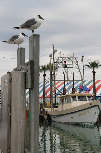 Chamber of Commerce «Rockport-Fulton Chamber of Commerce», reviews and photos, 319 Broadway St, Rockport, TX 78382, USA